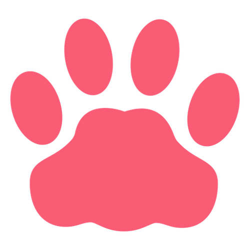 Foto de perfil de bicu mixtu