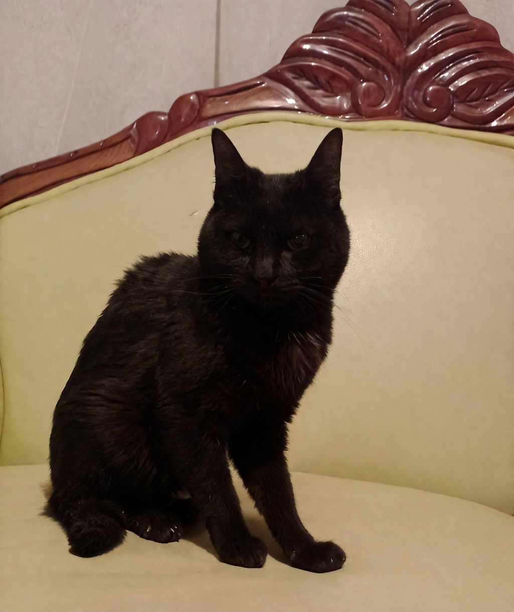 Foto de perfil de bicu mixtu